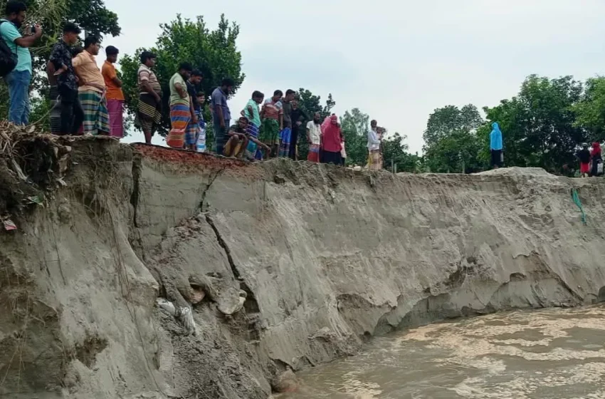  Jamuna erosion intensifies in Sirajganj; rising river waters devour homes, cropland