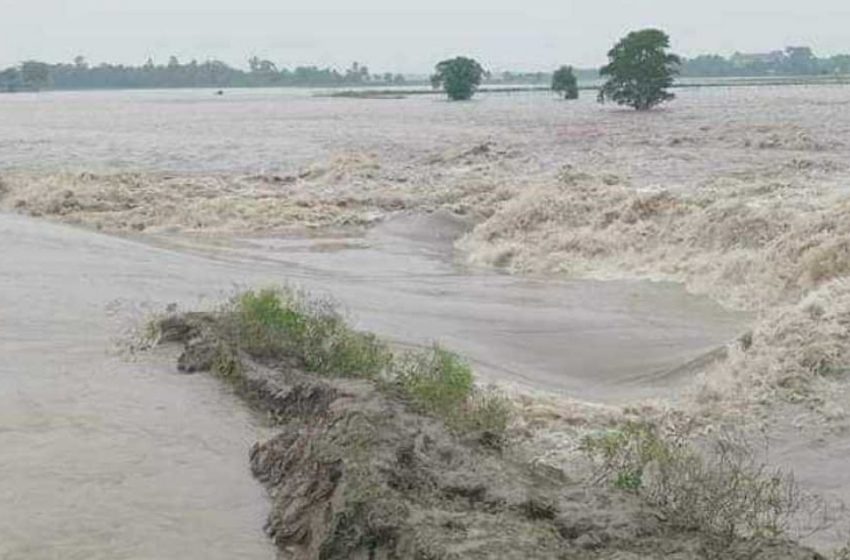  5 rivers flowing above danger level: FFWC
